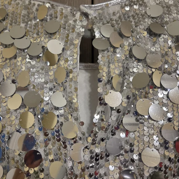 Silver Sequin Sleeveless Dress - Picture 6 of 7